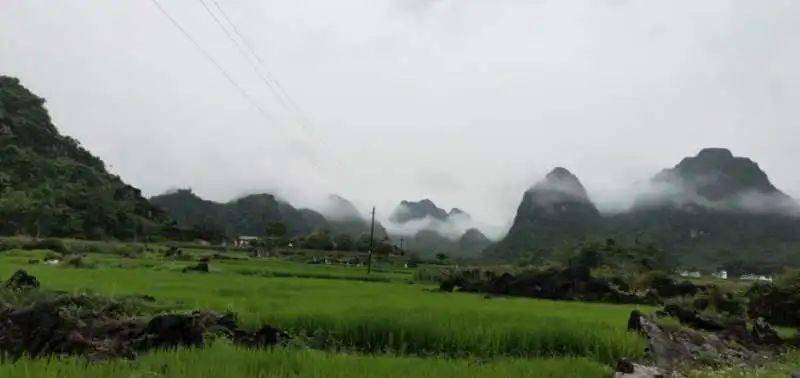 上林縣2020年“文化和自然遺產日”非遺宣傳展示線上系列活動—上林瑤族歌謠